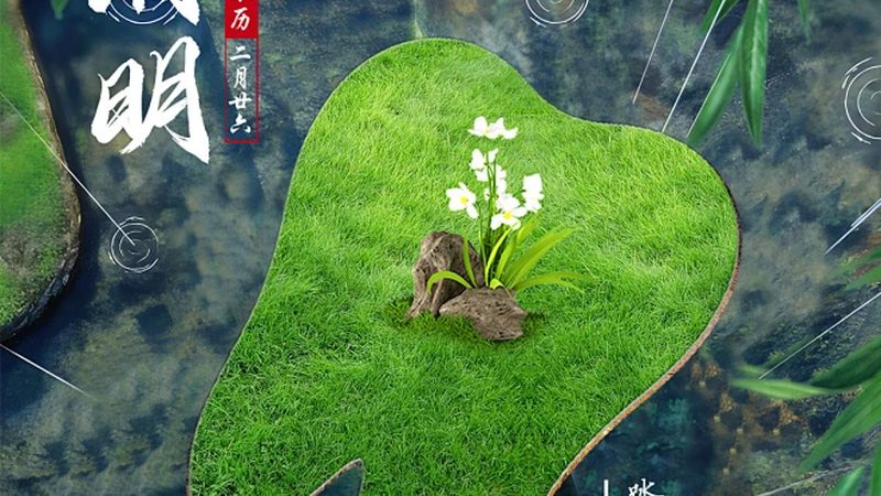 集采背景下，如何对比种植牙价格？**